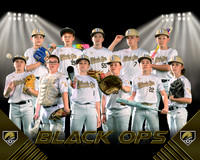 2026 Black Ops 12U