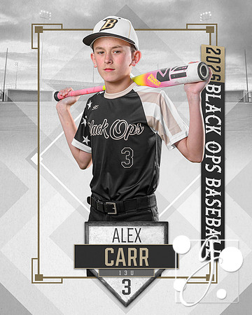 13 carr