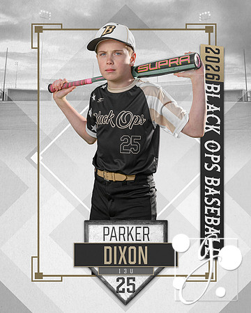 13 dixon