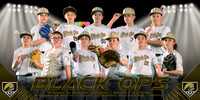 2026 Black Ops 12U Banner 3x6