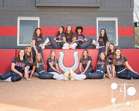 v softball