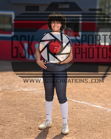 v smithson mya