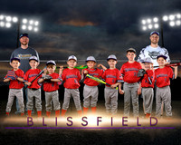 2026 Blissfield Coach Pitch