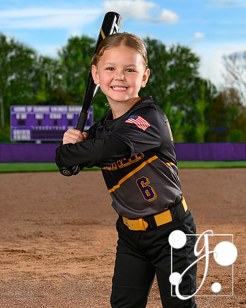 6b lipsky paislee