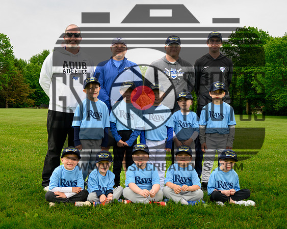 6ray