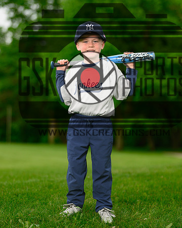 6yan radwan alexander