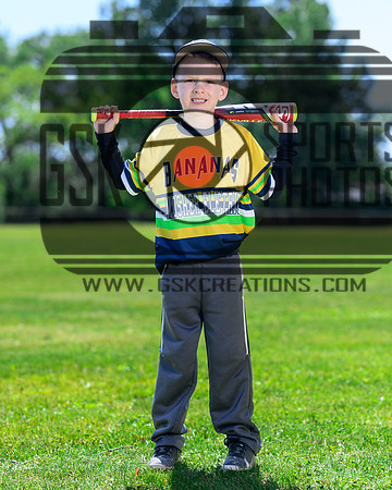 rban rollins rogan