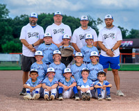 2026 Tree City Blue Jays 8U