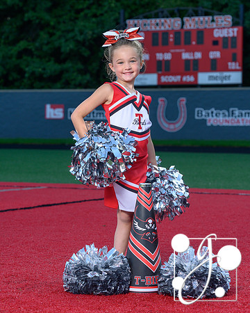 cf lingle harper