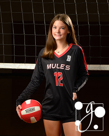 jv fremion annabelle