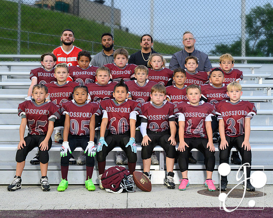 4 bulldogs