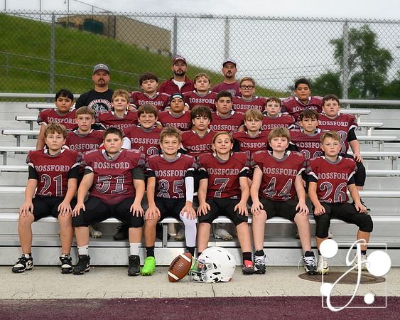 6 bulldogs