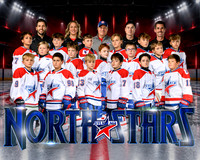 North Stars 2015