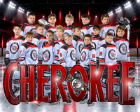2015