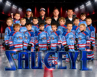 2026 Saugeye Hockey