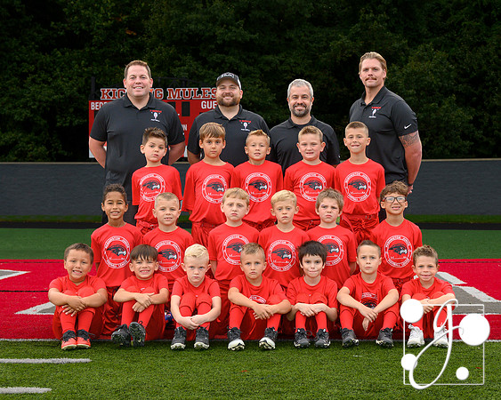 ff tbirds