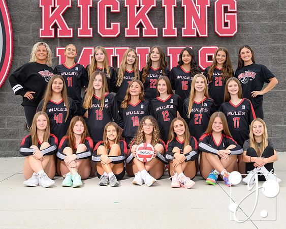 8 volleyball
