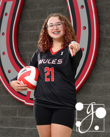 7 sheaves allie