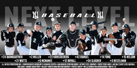 Next Level Baseball