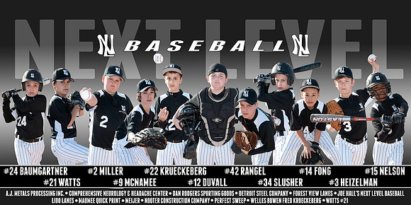 Next Level Baseball