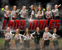 Lady Mules 8U