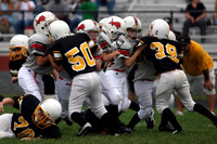 2007 Bedford Lions