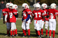 2008 Bedford T-Birds